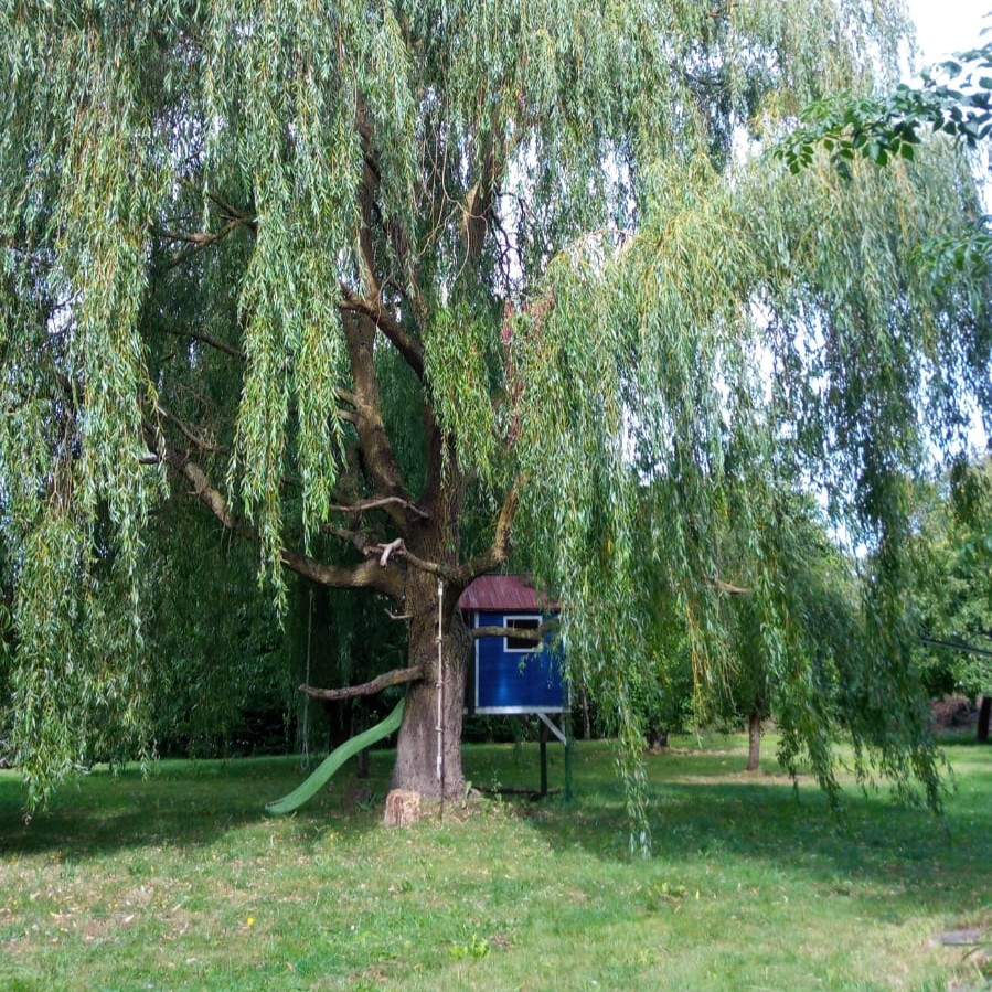 Spielhaus-mit-Weide-q 20260518_Kamin in Wohnküche1